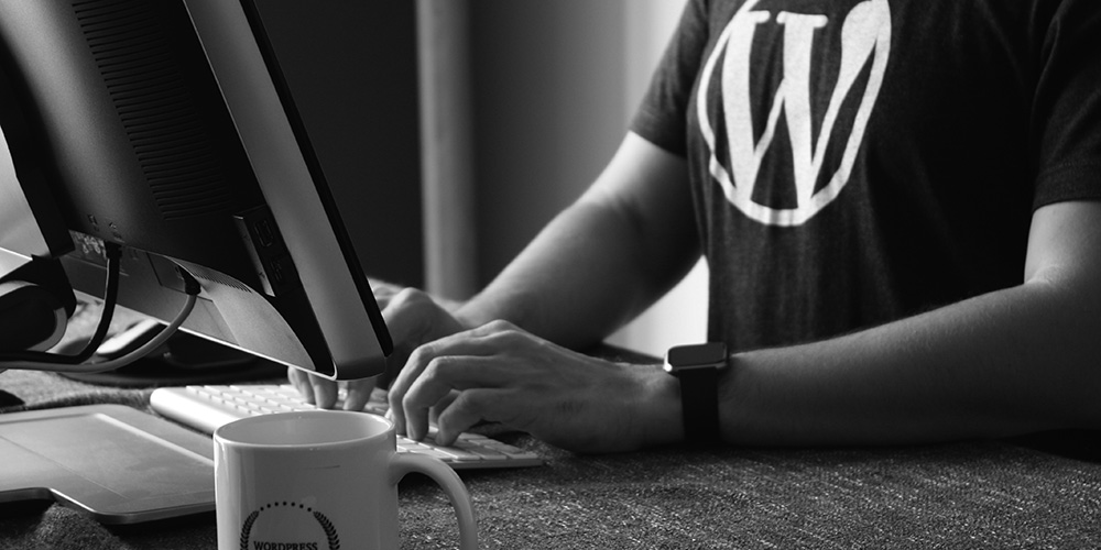 Principes de base pour sécuriser WordPress